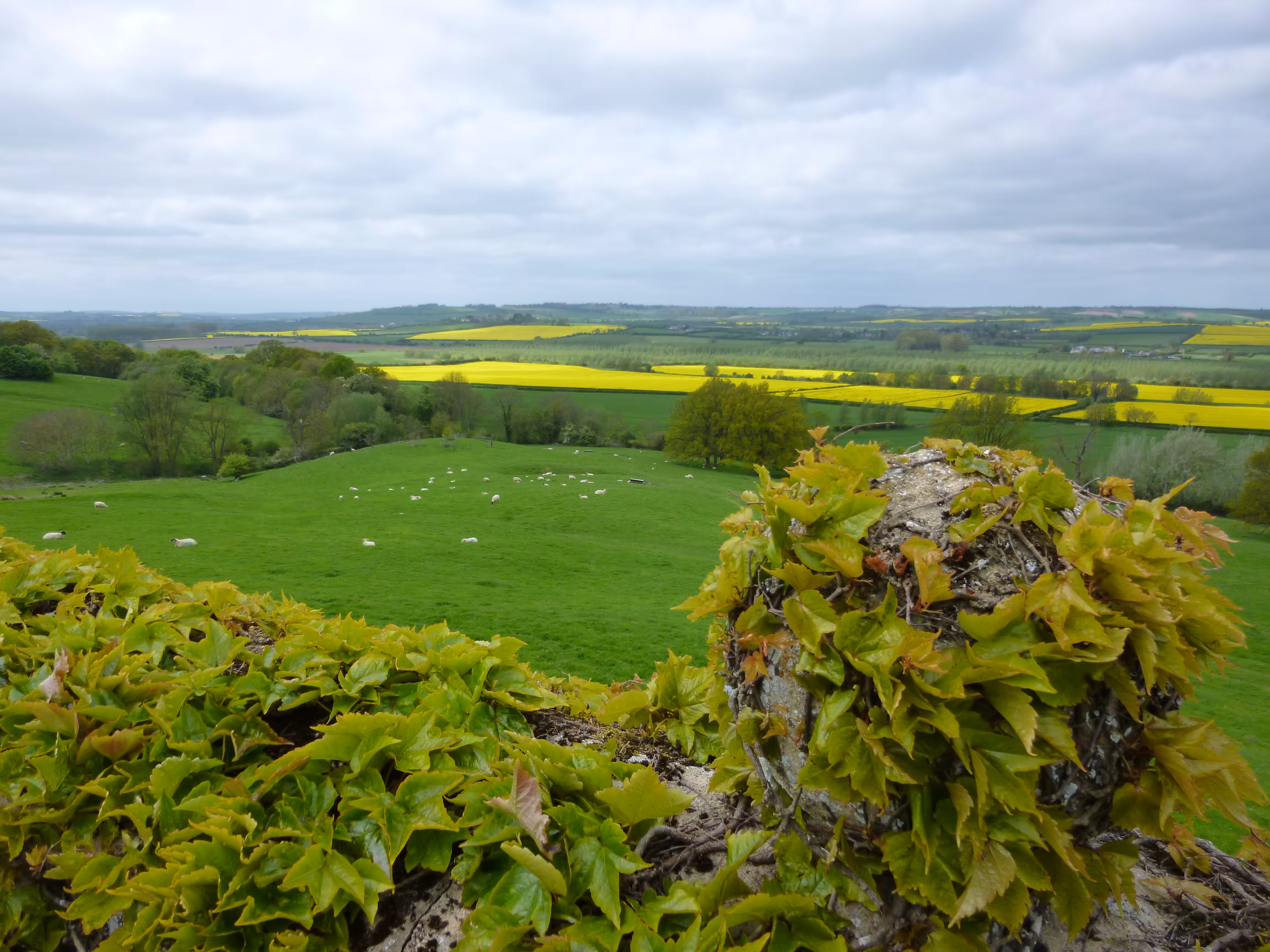 The view from the perimeter wall at Rockingham Castle