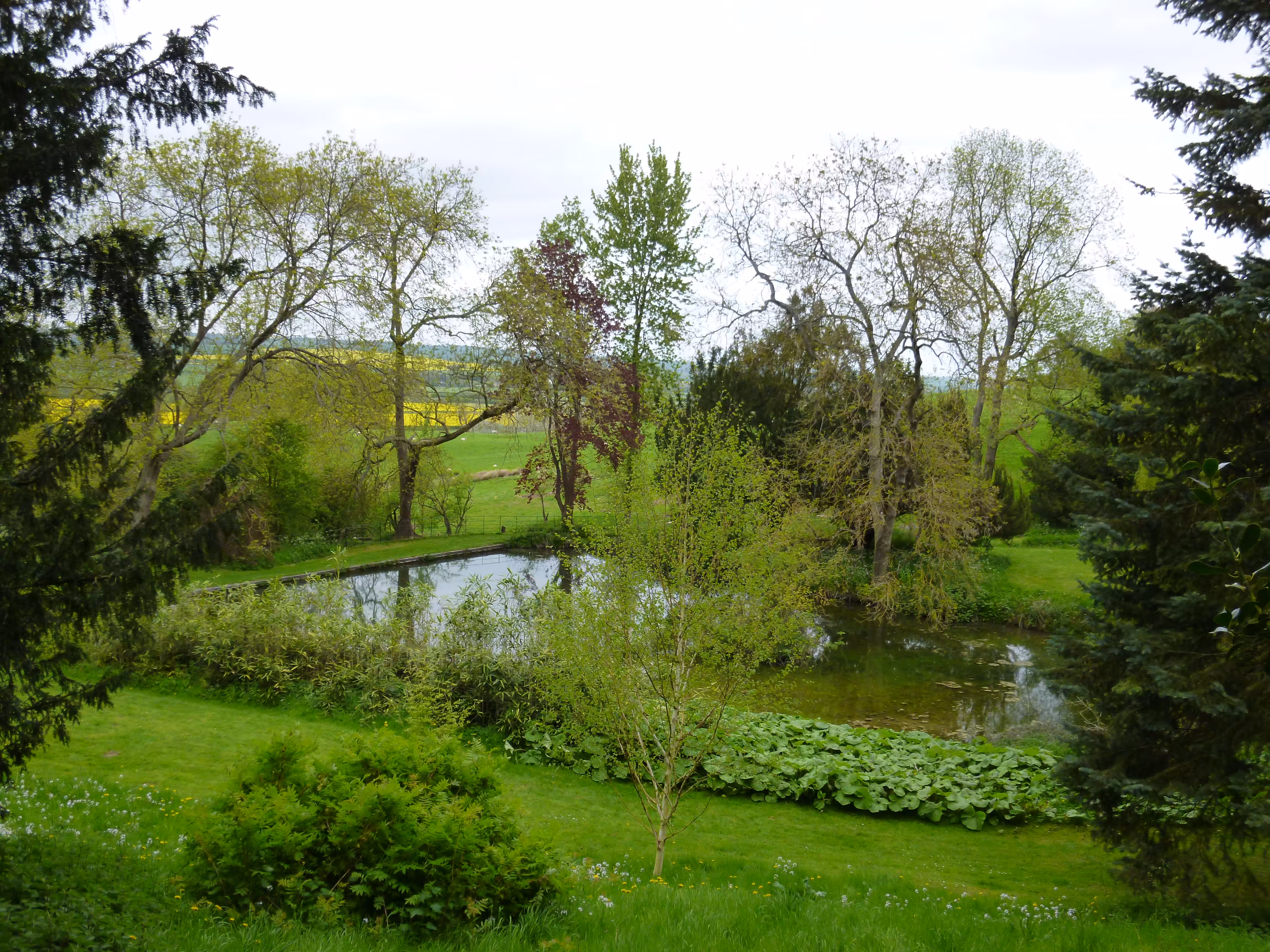 The pond in the wild garden at Rockingham Castle