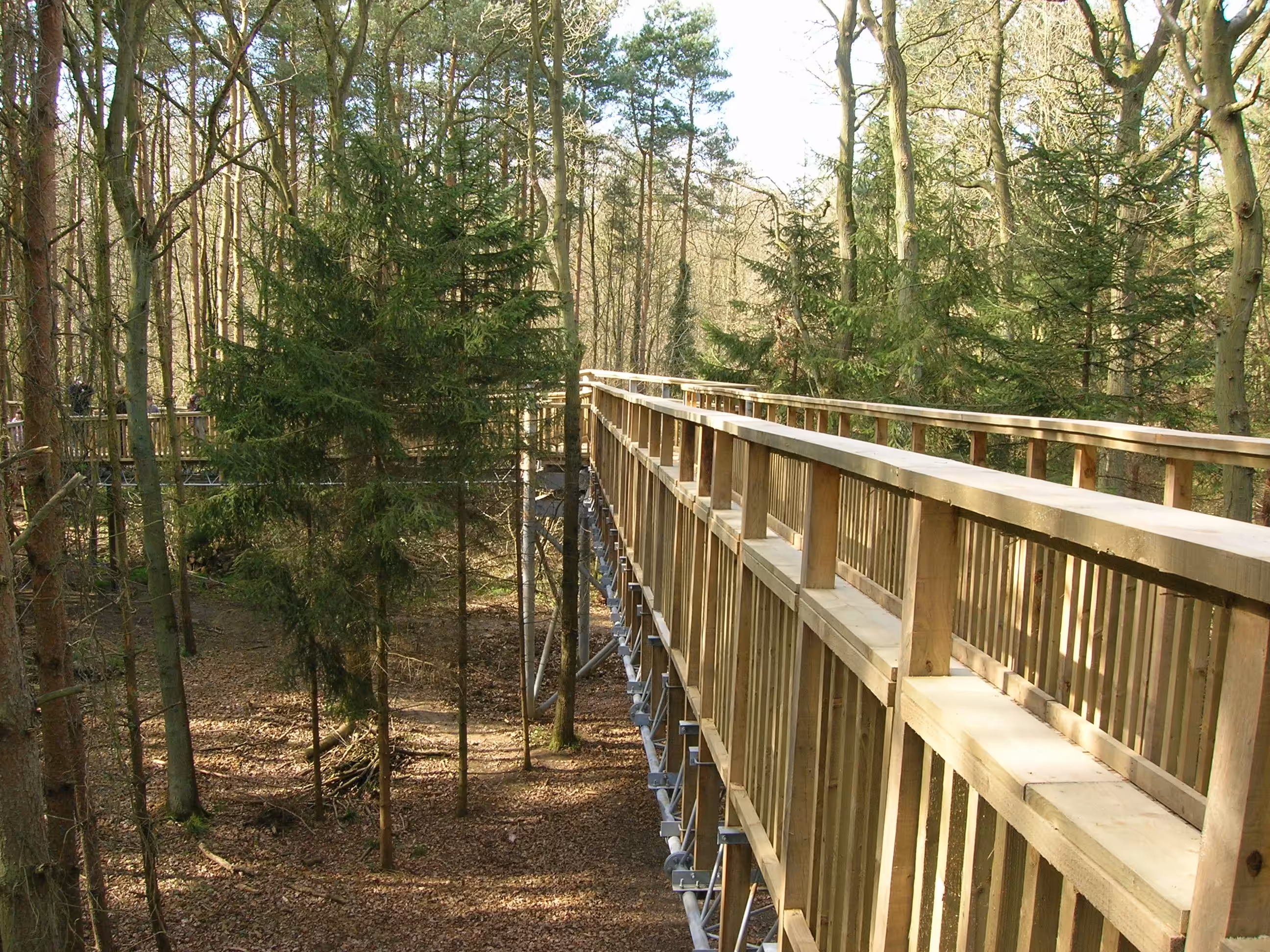 The former Tree Top Way walkway at Salcey Forest