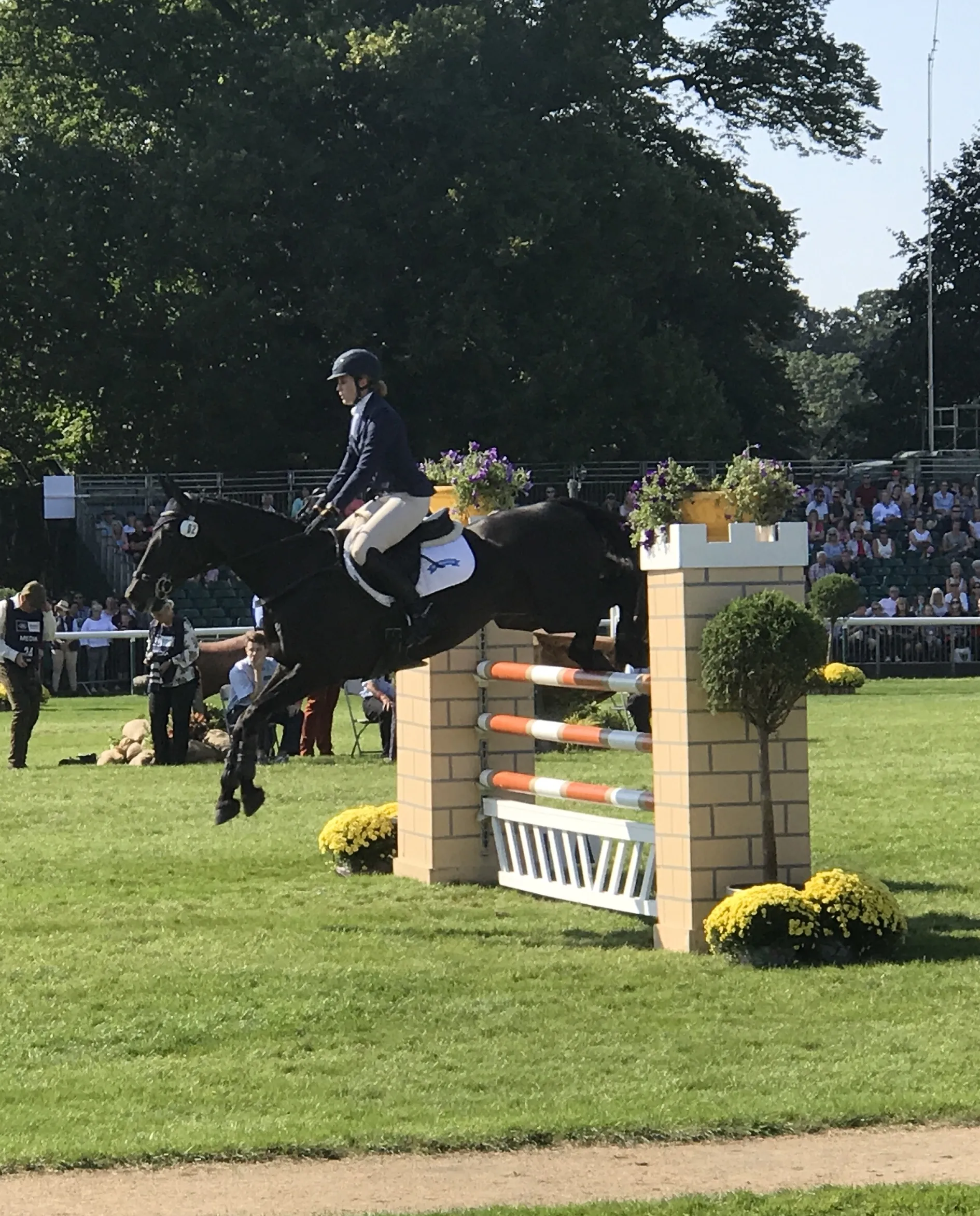 A horse and rider clearing a fence in the showjumping arena at Burghley Horse Trials