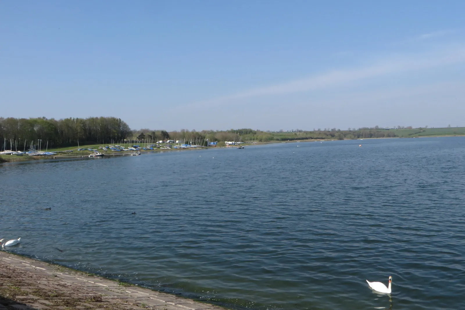 Open water at Pitsford Reservoir with Northampton Sailing Club dinghies moored along the far shore and swans in the foreground