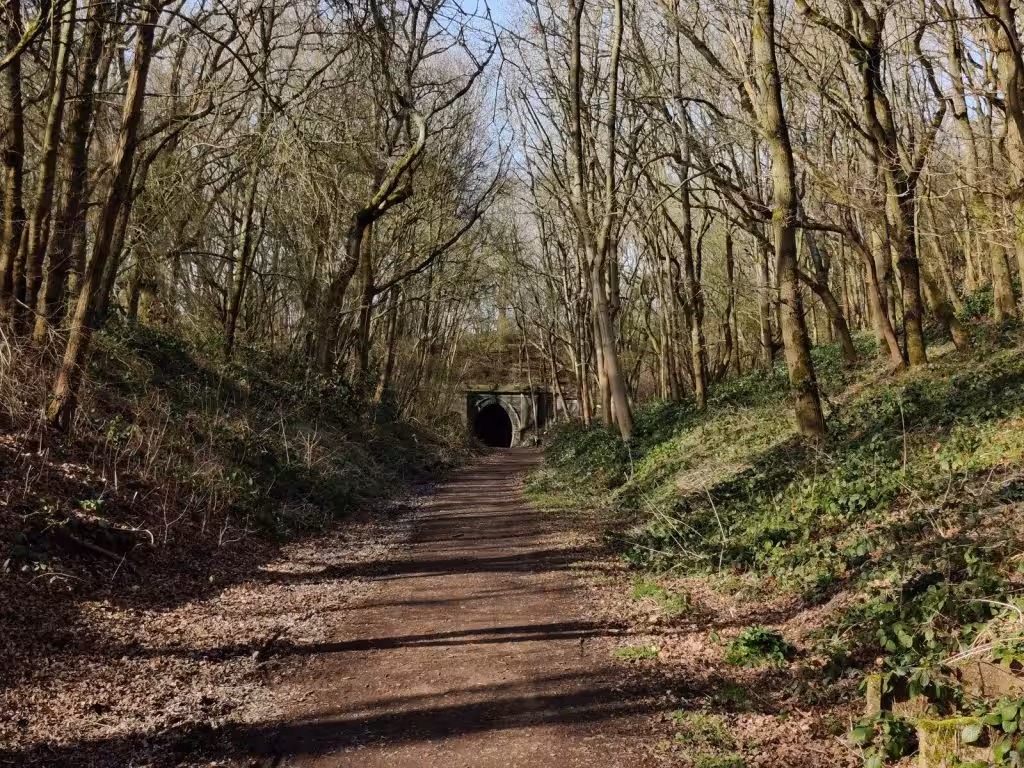The Brampton Valley Way path through bare winter woodland towards the Kelmarsh Tunnel portal