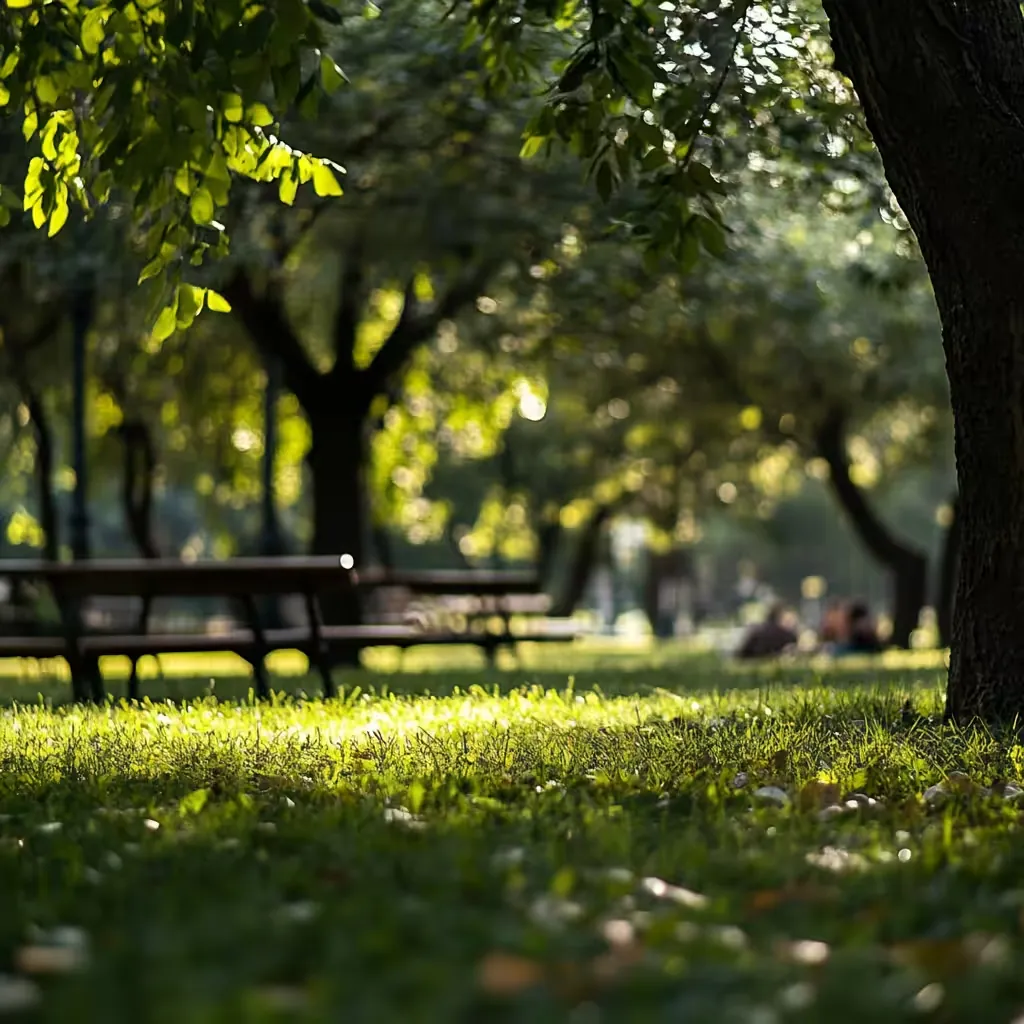 Picnic benches under shady trees in a sunlit park