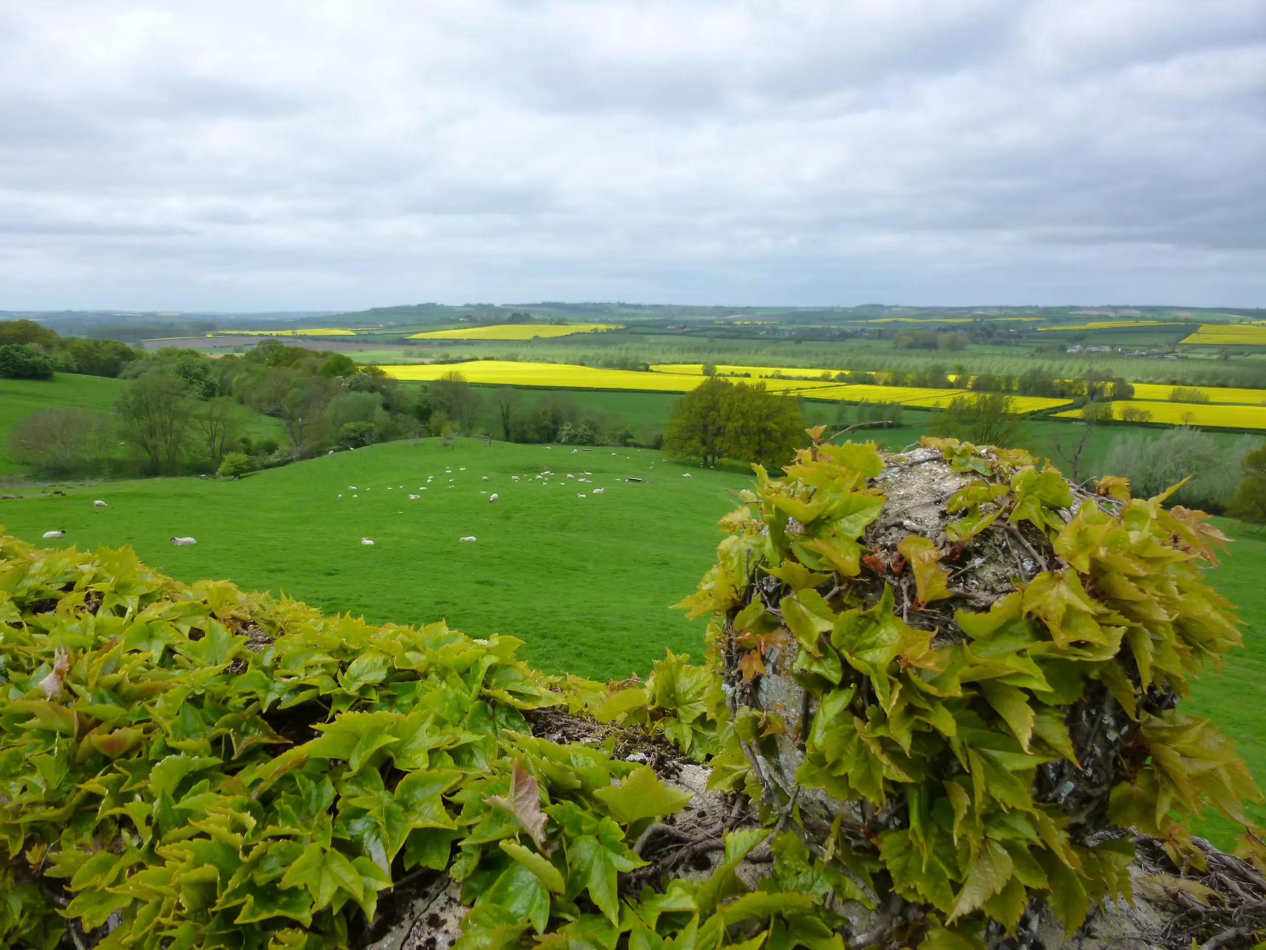 The view from the perimeter wall at Rockingham Castle