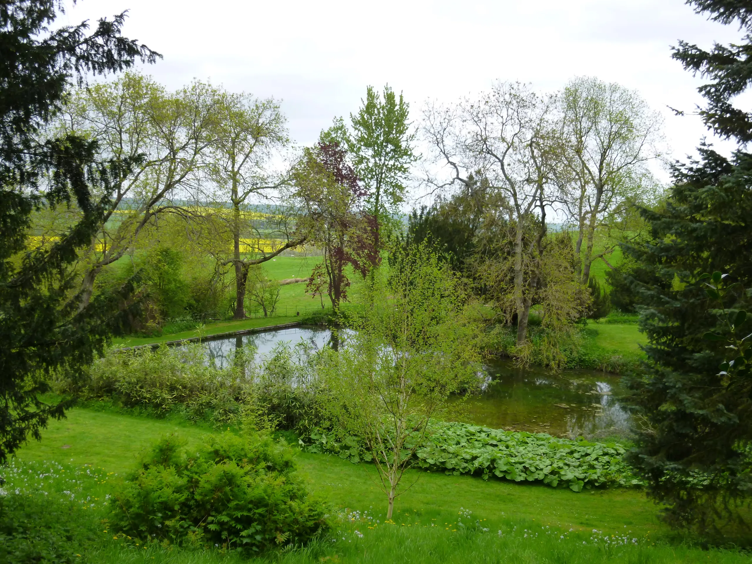 The pond in the wild garden at Rockingham Castle